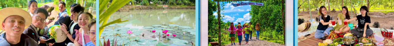 Vườn Tràm – Hơi thở thiên nhiên trong từng bước chân