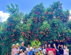 Check-in giữa thiên nhiên miệt vườn