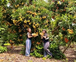 Tham quan vườn trái cây theo mùa