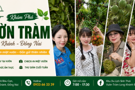 Du Lịch Long Khánh Đồng Nai Có Gì Chơi? Khám Phá Vườn Tràm Và Những Trải Nghiệm Miệt Vườn Hấp Dẫn