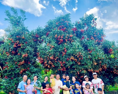 Vườn Tràm – Hơi thở thiên nhiên trong từng bước chân