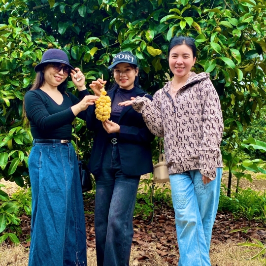 Hái trái cây tại vườn