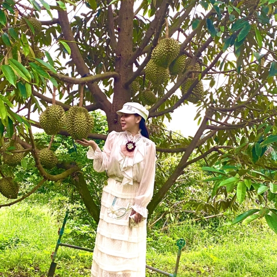 Check-in giữa thiên nhiên miệt vườn