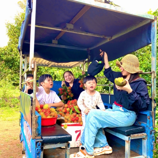 Hái trái cây tại vườn