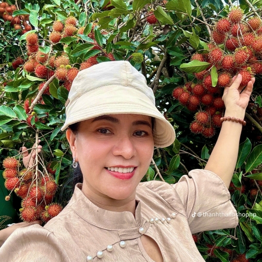 Hái trái cây tại vườn