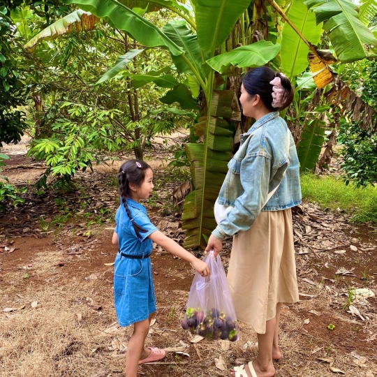 Hái trái cây tại vườn