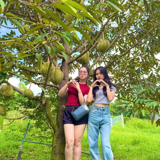 Check-in giữa thiên nhiên miệt vườn