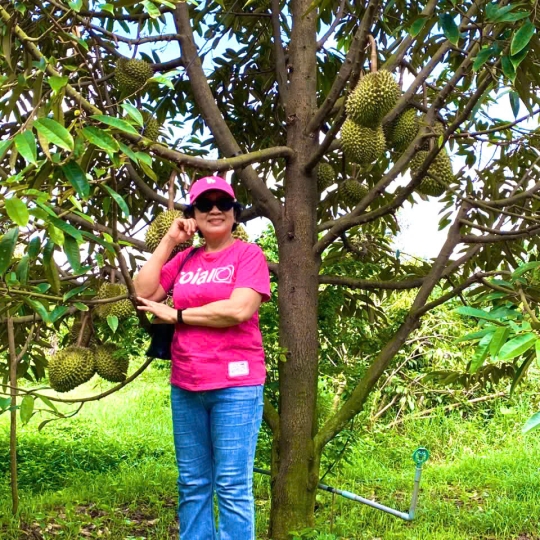 Check-in giữa thiên nhiên miệt vườn