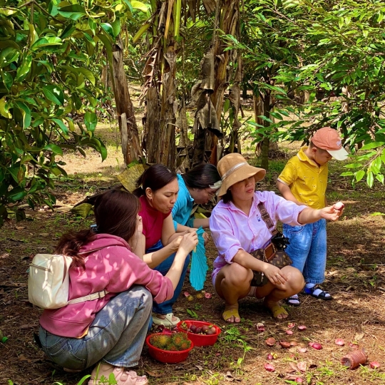 Check-in giữa thiên nhiên miệt vườn