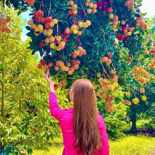 Check-in giữa thiên nhiên miệt vườn