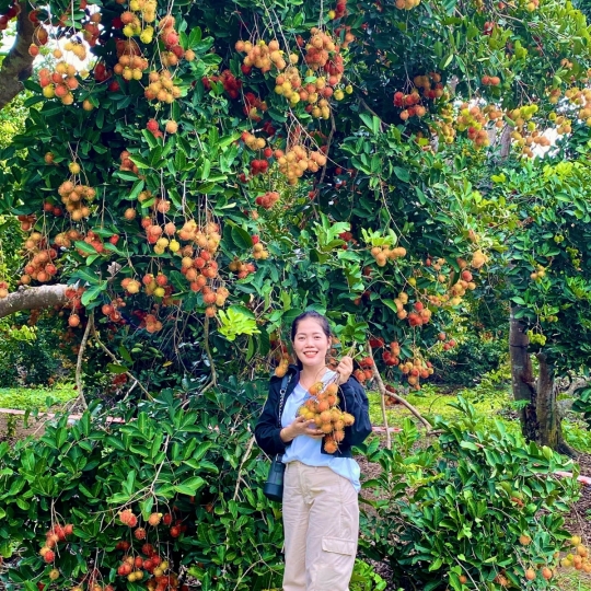 Hái trái cây tại vườn