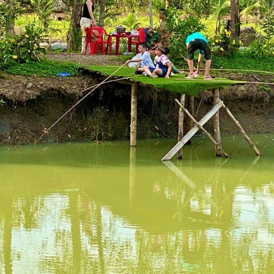 Hái trái cây tại vườn