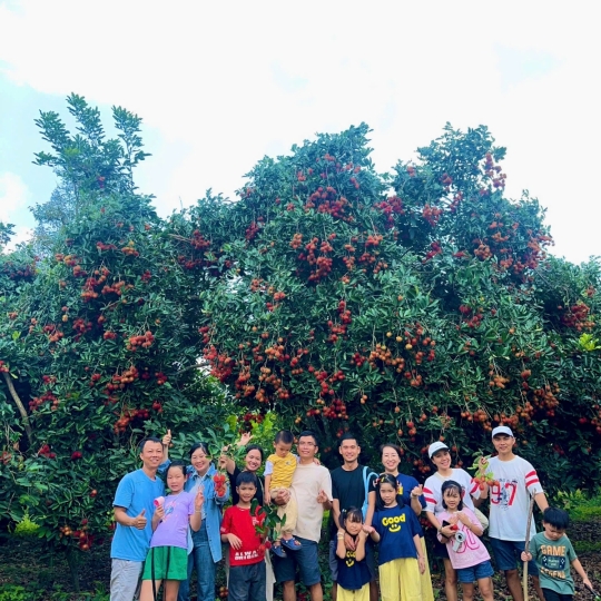 Check-in giữa thiên nhiên miệt vườn