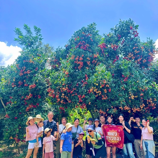 Check-in giữa thiên nhiên miệt vườn